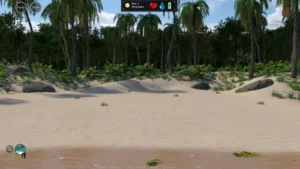 Stranded Dick